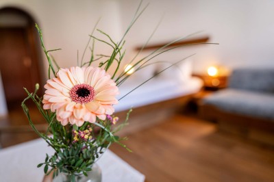 Unsere Zimmer im Gasthaus Ochsen