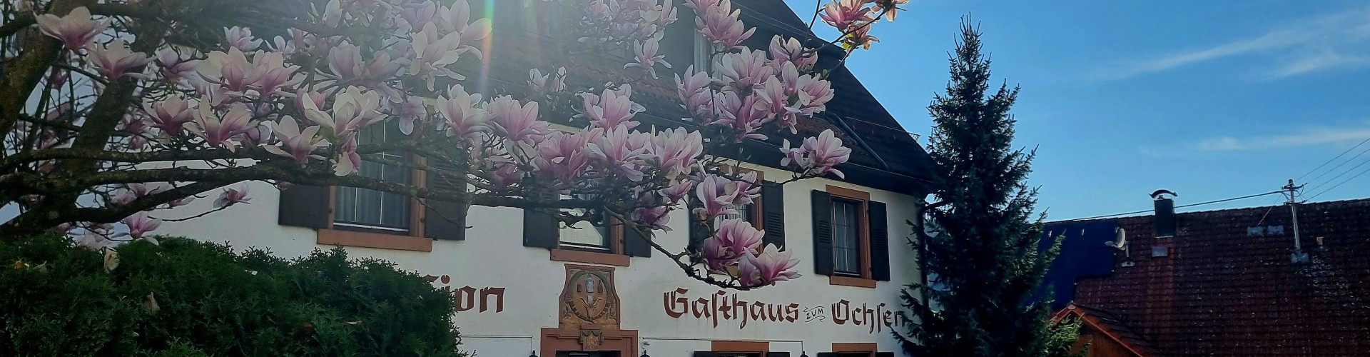 Au&szlig;enansicht